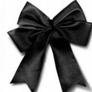 Meet your Posher, David rocael